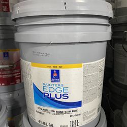 Pintura Y Material PAINT 