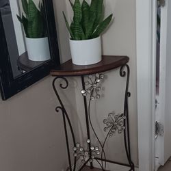 Plant