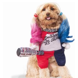 NWT DC HarleyQuinn Dog Halloween Dog Costume Size Small