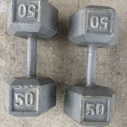 50 Lb Pound Dumbbells 