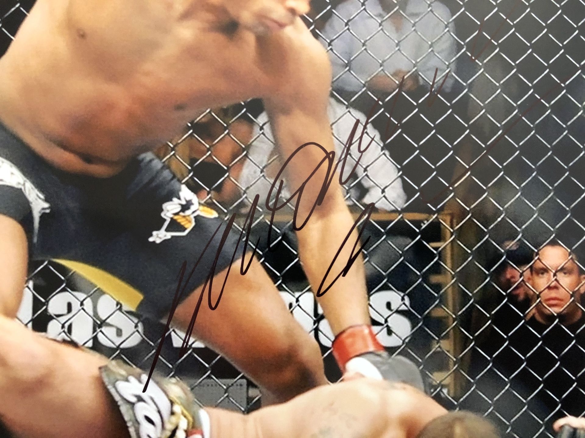 Spider Ufc Fighter
