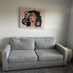 West Elm fold Out Couch 
