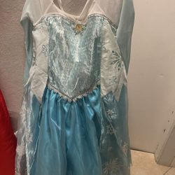 Princess Elsa Disney Dress