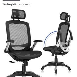Ergonomic Office Chair