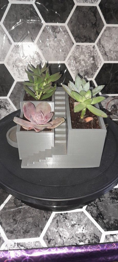 Succulent Planter