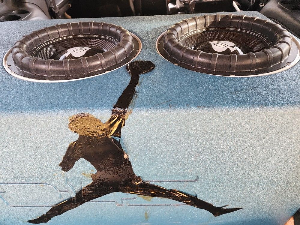 Audio Ace Wild 12" Subwoofers