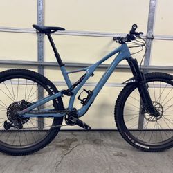 Large 2019 Carbon Specialized Stumpjumper Expert