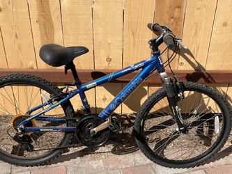 14” Bicycle