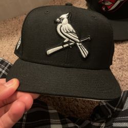 Fitted 