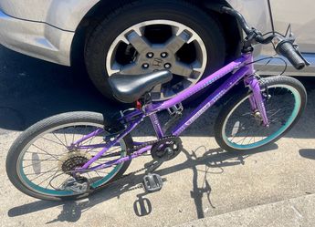 Guardian 20 inch bike