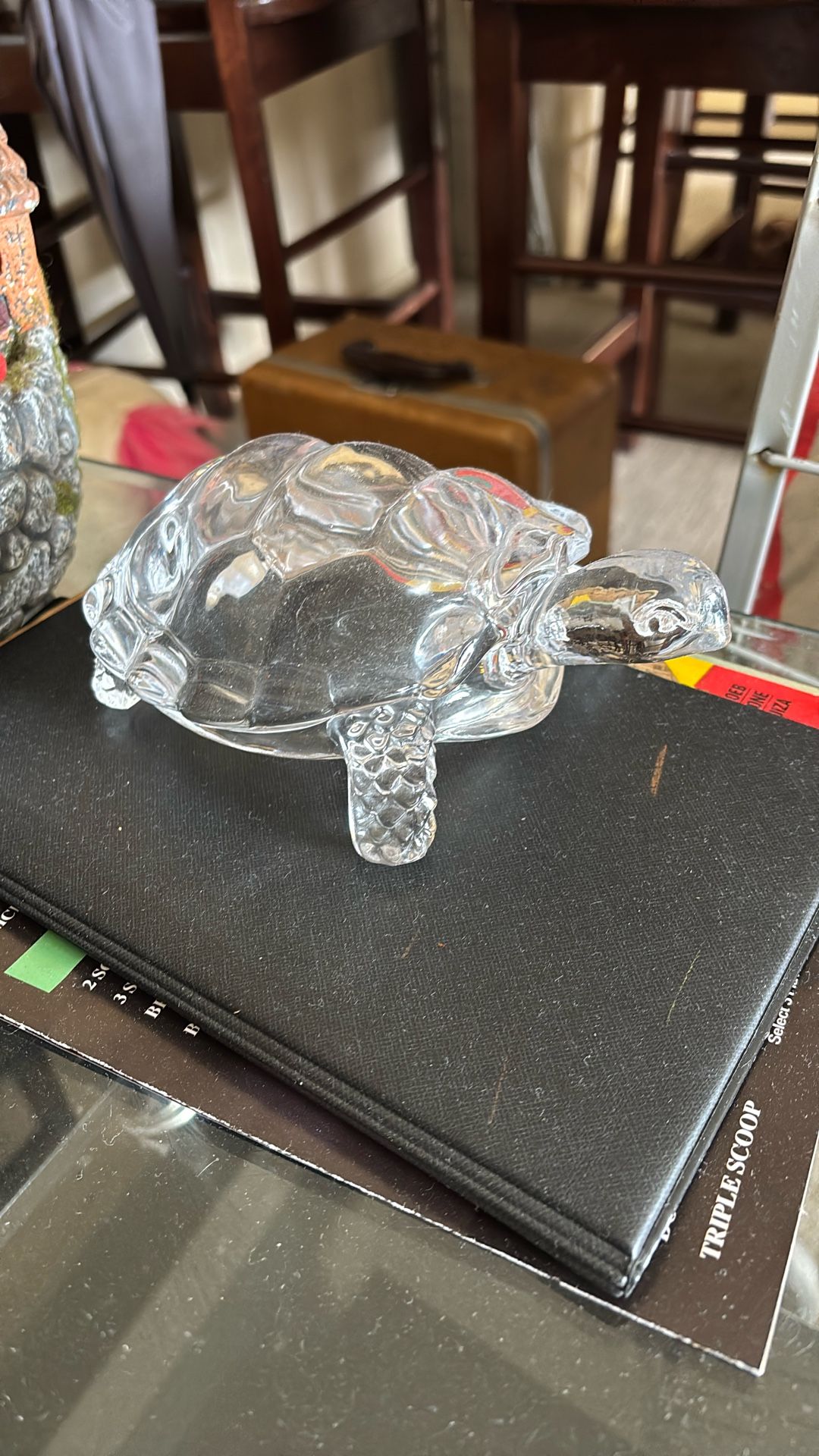 Glass turtle