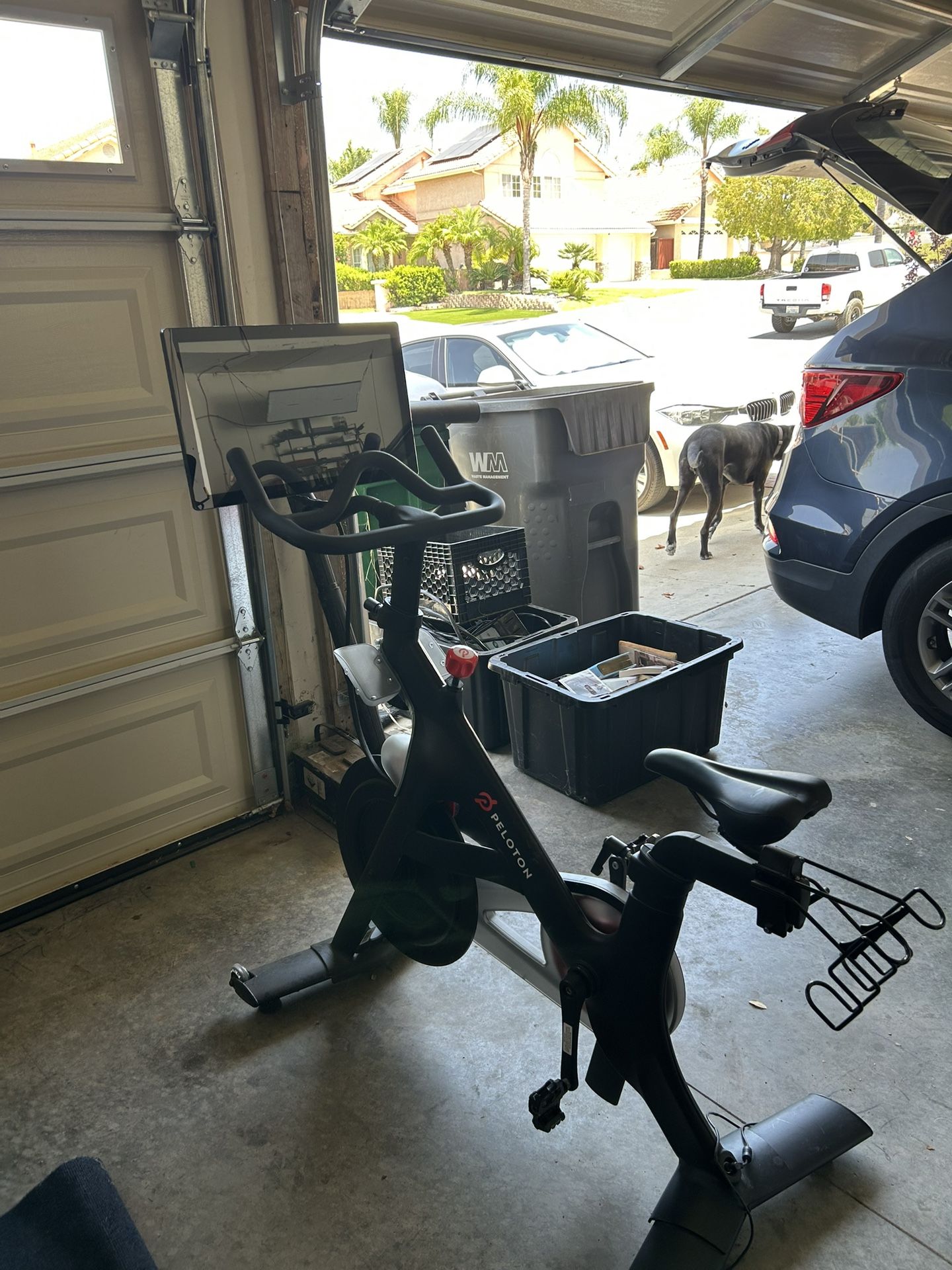 Peloton Bike