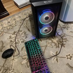 Skytech Gaming Blaze ll Gaming PC Desktop - Intel i5-10400F, GTX 1660, 1TB NVME, 16G DDR4 3200, AC Wi-Fi, Windows 10 Home 64-bit, Black
