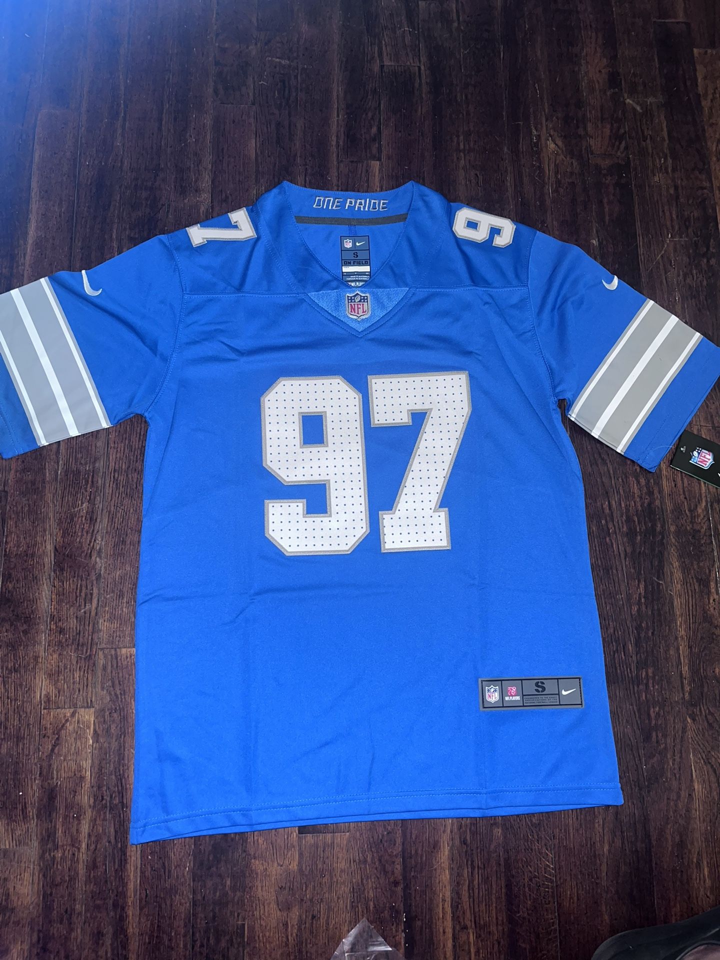 Detroit Lions fan jersey