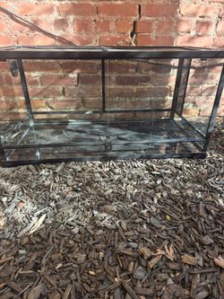 paludarium