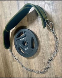 Seektop Weightlifting Dip Belt with a 25 lbs CAP  Weight Plate