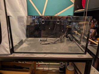 Innovative Marine Lagoon 25 rimless aquarium