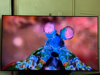 55 inch LG OLED TV 4k 120hz