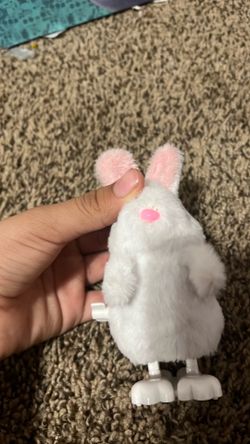 Bunny bunny bunny bunny