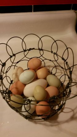 Organic, Free-Range Eggs