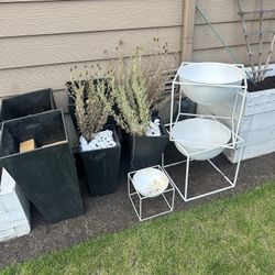 Free planters 