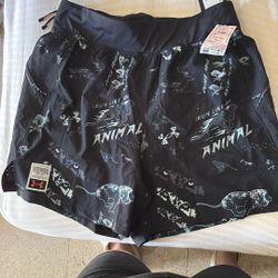 Under Armor Shorts