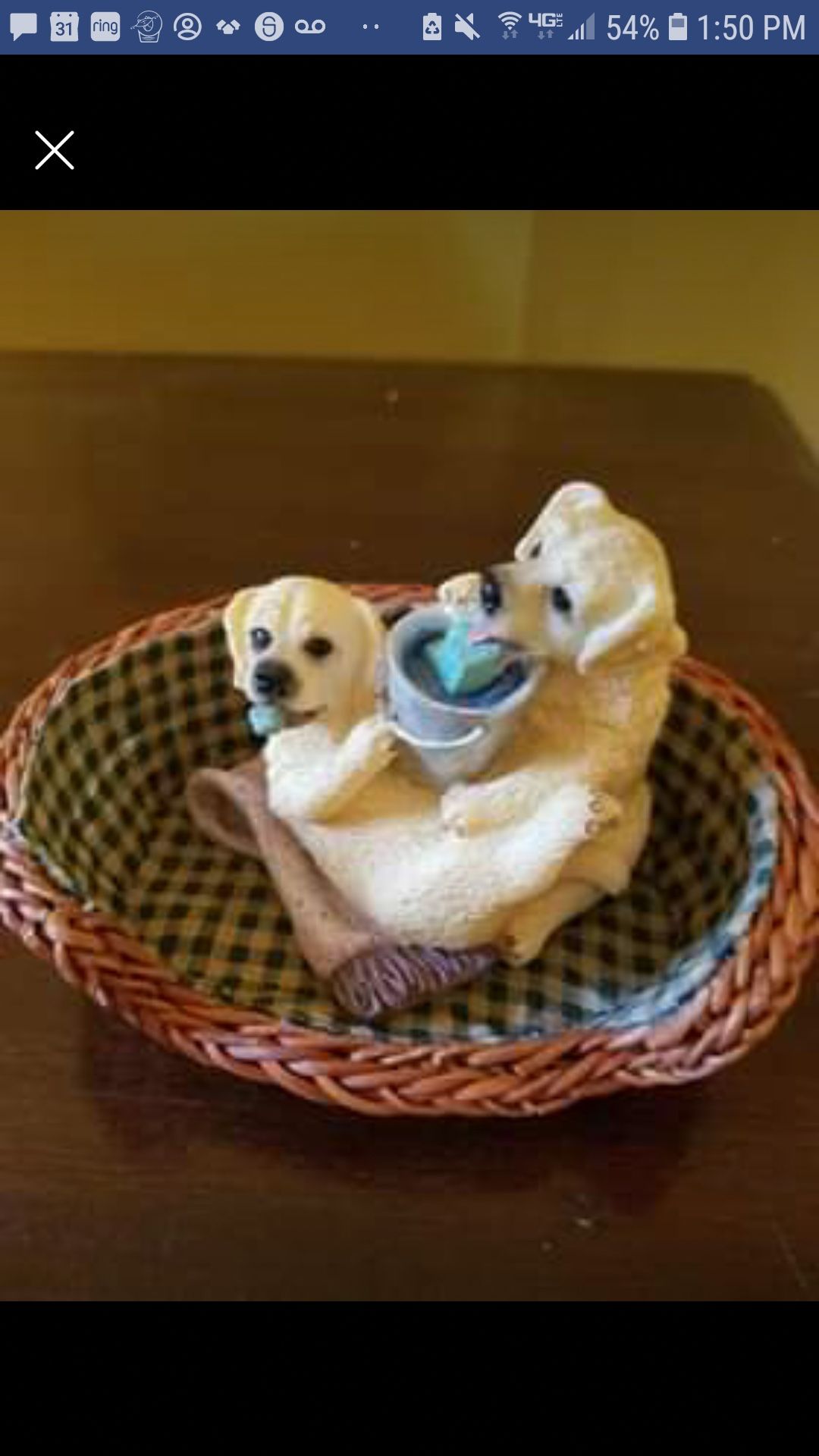 Puppies in a basket