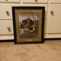  Trout Fish Wall Art