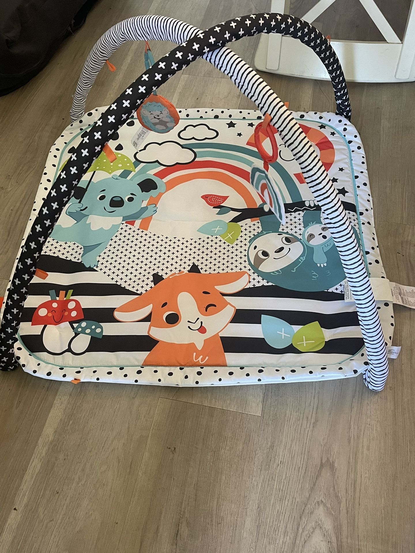 Fisher Price Baby Gym Mat