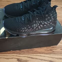 Nike LeBron James Shoes 