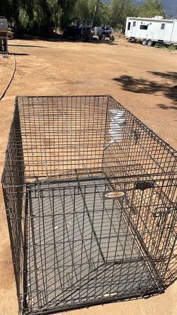 Para perro jaula