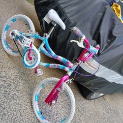 18 Inch Little Girls Bicycle