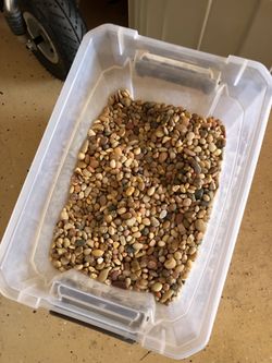 Stone from my fish tank