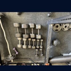 Olympic Plates/Weights And Dumbbells For Sale 509 Plus Pounds 