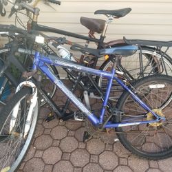 Four Bicycle Up For Grabs. Need Gone. 