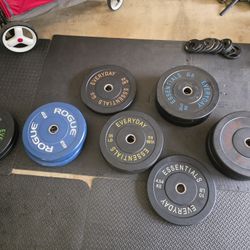 Bumper Plates For Sale.