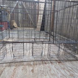 Live Bird Trap