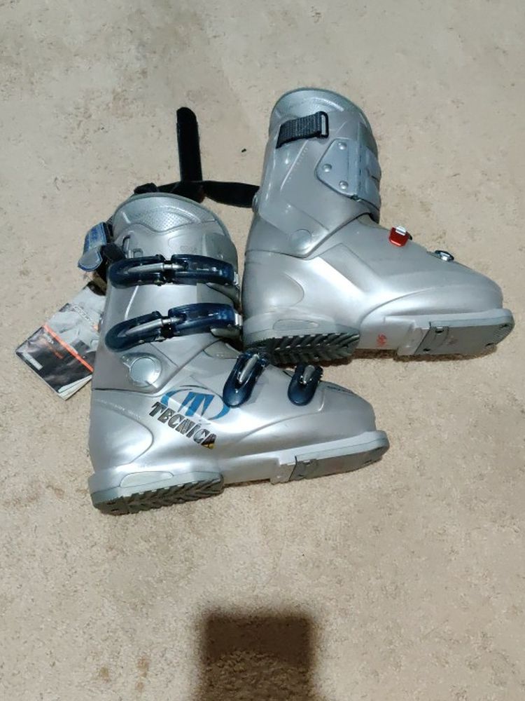 Tecnica Ski Boots