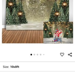 12x8 Xmas Backdrop
