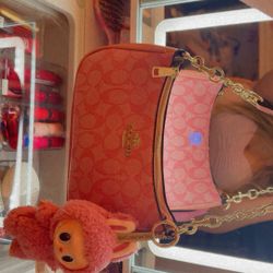 Pink Coach Bag 