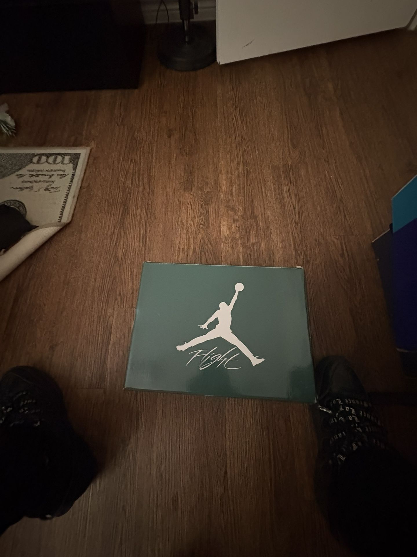 Oxidized Jordan 4s