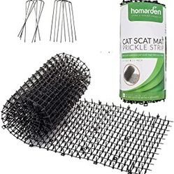Cat Scat