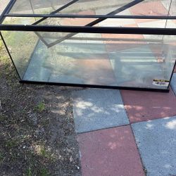Fish/ Reptile Tank