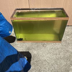 29 Gallon Glass Fish Tank 