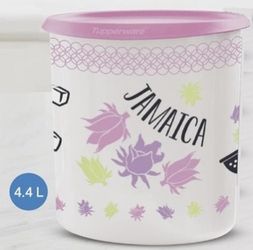Bote Jamaica tupperware