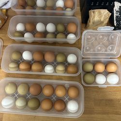 Organic Free Range Eggs $6 per dozen