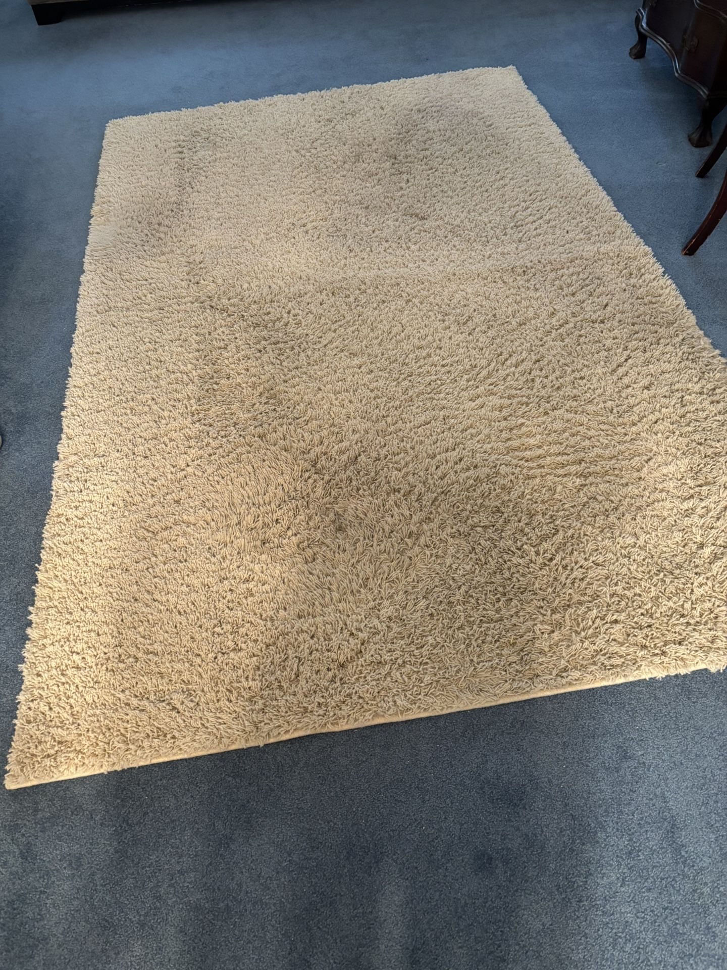 Off White 8 x 5 Shag Area Rug