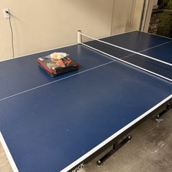 Ping Pong Table 