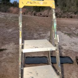 6 Foot Gorilla Painters Ladder