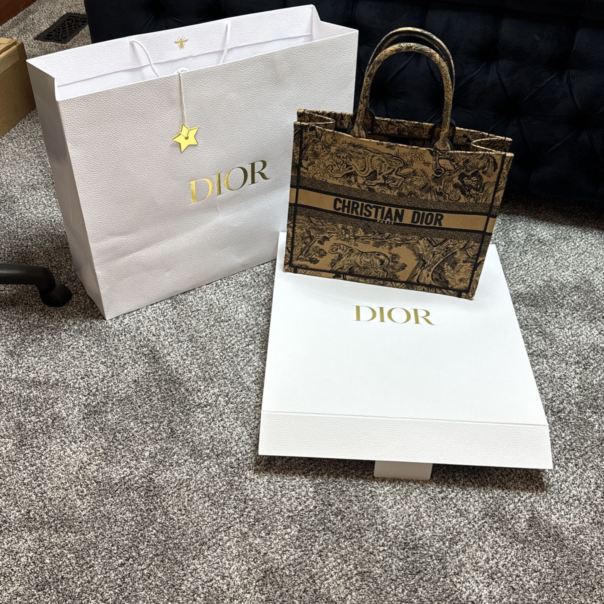 Dior Book Tote